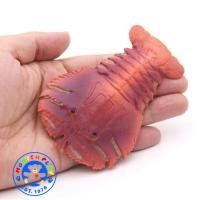 ราคา Munich Play - โมเดลสัตว์ Mantis Shrimp กั้ง กั้งกระดาน ขนาด 11.00 CM (จากหาดใหญ่) (18284863834)