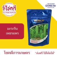 ราคา มะระจีน เพชรแพร เมล็ดมะระ เมล็ดพันธุ์ มะระจีน ลูกผสม ตรา เจียไต๋ บรรจุ 100 กรัม (48800761400)