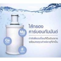 ราคา ไส้กรองคาร์บอนกัมมันต์ Amway สำหรับเครื่องกรองน้ำ eSpring (5814540552)