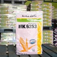 ราคา เมล็ดพันธุ์ข้าวโพดเลี้ยงสัตว์ NK 6253 3 หุน 10 kg. (ข้าวโพด เมล็ดพันธุ์ผัก เมล็ดพันธุ์พืช ) (27184066024)