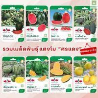 ราคา มีเกือบครบ! เมล็ดพันธุ์ แตงโม คริมสันเรด กาแล็กซี่ อันดา จอมขวัญ ควีนเลดี้ ฮันนี่มูน คิงส์ เยลโล่ แตงโมศรแดง (26453550771)