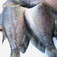 ราคา ปลาสลิดบางบ่อ ปลาสลิดแดดเดียว >ขนาด 9-10 ตัว น้ำหนัก 1 กิโลกรัม (41920263340)