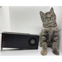 ราคา การ์ดจอ Rx480 8GB ref มีแต่ตัวไม่มีกล่อง (3462387127)