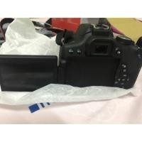 ราคา Canon 750D ของมือ2 รู้สึกว่าไม่เหมาะ ตั้งไว้เฉยๆ เลยขายดีกว่า มีลอยถลอกบนบอดี้นิดนีง จอแบบทัชสกรีน มีwifi/nfc (971303568)