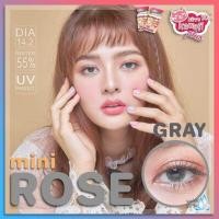 ราคา Kitty Kawaii ๑ mini Rose ( Roze ) สายตา -00 ถึง -1000 brown gray Contactlens บิ๊กอาย คอนแทคเลนส์ ราคาถูก แถมตลับฟรี (2787837308)
