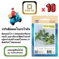 ราคา CTOP x 10 เมล็ดผักซองเจียไต๋ ยอดฟักทอง ฟักทองทอดยอด สินค้ายกแพ็ค (56953807116)