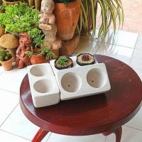 ราคา กระถางอิฐมวลเบา กระถางต้นไม้ กระถางแคสตัส​ 10 x 20 x 7​ ​cm.(008) (15362131149)