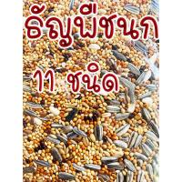 ราคา 1 KG. ธัญพืช อาหารนก อาหารนกเล็ก เลิฟเบิร์ด หงหยก ฟอพัส อาหารนกแก้ว นกเขาเล็ก ข้าวนก ธัญพืชนก (2979388506)