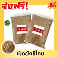 ราคา Qinna เมล็ดผักชี เม็ดผักชี ผักชี ผักชีไทย ผักชี เมล็ดผักชี เม็ดผักชีผักชีเมล็ดผักชี Coriander seeds เม็ดผักชี (29636169036)