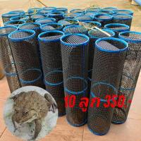 ราคา ลอบดักกบ/ไซดักกบ ชุด10ลูก (12326744375)