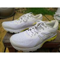 ราคา รองเท้าวิ่ง asics gel kayano 25 สภาพสวยๆ ใส่ดี ของแท้ (18219336251)