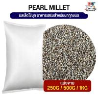 ราคา Pearl Millet มิลเล็ตไข่มุก อาหารสำหรับนกแก้ว นกฟินช์ นกหงส์หยก และอื่นๆ (แบ่งขาย 250G/500G/1KG) (29492622718)