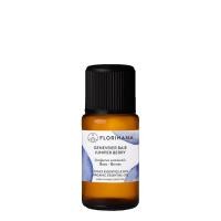 ราคา Florihana, Organic Juniper Berry Essential Oil, 15g (23156911354)