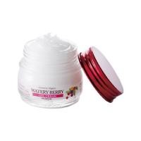 ราคา Skinfood Watery Berry Gel Cream 63ml
