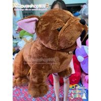 ราคา ตุ๊กตาหมาบลูด็อก สีช็อคโกแลต ขนาด 35 นิ้ว – ผ้านาโนนุ่มมาก! พร้อมส่งจากไทย (20517298715)