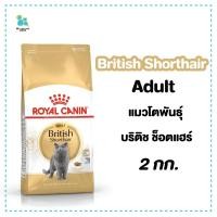 ราคา Royal Canin British Shorthair แมวโต พันธุ์บริติชช็อตแฮร์ Exp.21/10/24 มีเก็บเงินปลายทาง (29054323601)