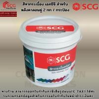 ราคา สีทากระเบื้อง เอสซีจี สำหรับหลังคาลอนคู่ ขนาด 2 กก. (29243696818)