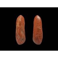 ราคา หลวงพ่อแดงนันทิโย วัดอินทาราม จ.สมุทรสงคราม พิมพ์ลีลา เนื้อดิน#หลวงพ่อแดงวัดอินทาราม #วัดออนทารามสมุทรสงคราม (23365287971)