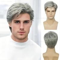 ราคา วิกผู้ชาย wig นางแบบ สีควัน สีเทา ผมหงอก วิกนายแบบ ส่งด่วน (26619608297)