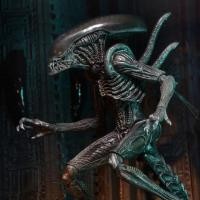 ราคา โมเดลฟิกเกอร์เคลื่อนที่ขนาด 7 นิ้ว NECA Alien vs. Predator AVP Alien 7th Wave สีดำ (29231594743)
