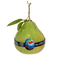 ราคา GI มายช้อยส์ส้มโอทับทิมสยาม GI My Choice Tabtimsiam Pomelo [หมายเลขบาร์โค้ด 8853474040995] ผลไม้สดคุณภาพดี (47855836186)