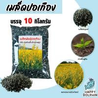 ราคา เมล็ดพันธุ์ปอเทือง บรรจุ 10กิโลกรัม เมล็ดปอเทือง เม็ดปอเทือง ต้นปอเทือง พันธุ์ปอเทือง เม็ดพันธุ์ปอเทือง ดอกปอเทือง (26865465825)