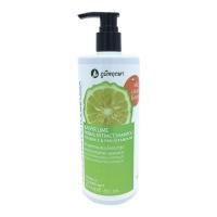 ราคา แชมพูสระผม สมุนไพรมะกรูด สมุนไพรภูมิพฤกษา 450มล (2609883691)