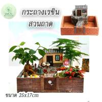 ราคา กระถางสวนถาดบ้าน กระถางจัดสวน สวนถาด การจัดสวน กระถาดต้นไม้ แคตตัส อุปกรณ์จัดสวน สวนบอนไซ (5683425283)