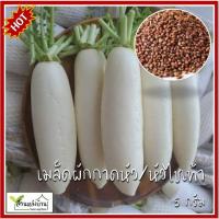 ราคา 5 กรัม ผักกาดหัว ไควาเระ เมล็ดผักกาดหัว หัวไชเท้า เมล็ดหัวไชเท้า ผักกาด เมล็ดผักกาด (28355564305)