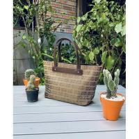 ราคา กระเป๋าถือ Pierre Cardin (8822043831)