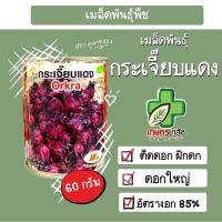 ราคา เมล็ดพันธุ์ กระเจี๊ยบแดง ตราภูเขาทอง 60 กรัม ดอกใหญ่ (26073362512)