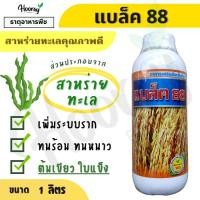 ราคา แบล็ค 88 1 ลิตร ( สาหร่ายทะเล ) สารอาหารพืช ต้นเขียว ใบแข็ง ต้นแกร่ง รวงดี (27871312940)