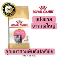 ราคา [แบ่งขาย] อาหารแมว Royal canin Kitten Persian ลูกแมวพันธุ์เปอร์เซีย อายุ 4-12เดือน 500g 800g 1kg อาหารแมวรอยัลคานินแบบแบ (24473640944)