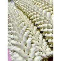 ราคา มะลิวงกระดาษสา สวยเหมือนจริง (5258156562)