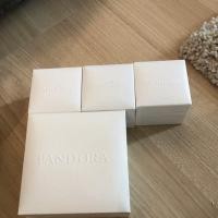 ราคา กล่องเครื่องประดับแพนโดร่า pandora (4340852840)