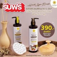 ราคา Pinnara (พิณนารา) แชมพู+ครีมนวด มะพร้าวผสมอาร์แกนออยล์ (24379767563)