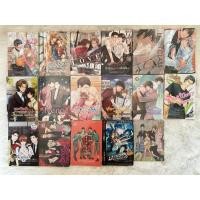 ราคา (นิยายวาย มือ2) นิยายวาย สภาพ99% (26760798853)