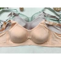 ราคา BestWare MEDIUM FOAM NOURSING BRA ไม่มีลวด 4 ตะขอและตะขอด้านหน้า -618 (26374611546)