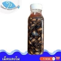 ราคา ไต๋ฮ๊อด เม็ดแตงโม 100กรัม 1ขวด เมล็ดแตงโม เม็ดแตงโมอบ เมล็ดแตงโมอบ เม็ดแตงโมอบแห้ง เมล็ดแตงโมอบแห้ง (17151992913)