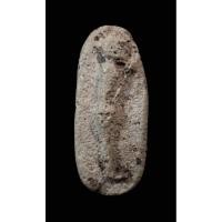 ราคา พระพิมพ์วันทาเสมา กรุวัดพลับ กทม. (16500514809)