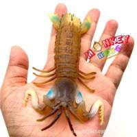 ราคา Monkey Toys - โมเดลสัตว์ Mantis Shrimp กั้ง ทะเล ขนาด 13.00 CM (จากหาดใหญ่) (23063861352)