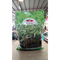 ราคา ผักบุ้งจีน ไผ่เงิน ตราศรแดง (1 กก.) (43223881573)