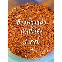 ราคา ข้าวฟ่างแดงดิบ สำหรับทำเชื้อเห็ด เก็บใหม่ ๆ ฤดูกาลนี้ น้ำหนัก 1 กก.ข้าวฟ่างดิบ ข้าวฟ่าง อาหารนก เชื้อเห็ด (23971612057)