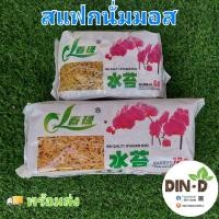 ราคา สแฟกนั่มมอส (sphagnum moss)พร้อมส่ง (14232856184)