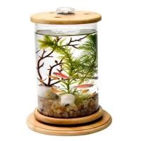 ราคา โหลเลี้ยงปลา โหลใส่ปลากัด โหลแก้ว โหลเลี้ยงปลา (28718822283)