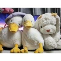 ราคา ตุ๊กตาหมาเต้าฮวยRainflower/ตุ๊กตาเป็ดคู่ (42160566258)