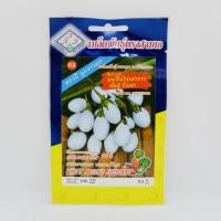 ราคา มะเขือไข่เต่าขาว พันธุ์ วังเต่า (20948051543)