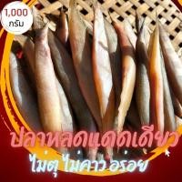 ราคา มาใหม่ๆ ปลาหลดตากแดดเดียว ปลาแดดเดียว ปลาหายาก ขนาดไม่ใหญ่ (นน.1,000g.) (22869312861)