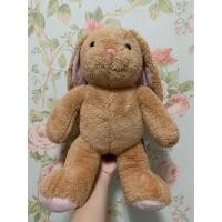 ราคา Build-A-Bear Workshop : Classic Pawlette Bunny (27387327971)