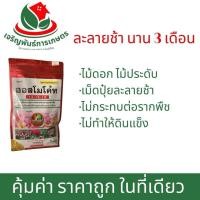 ราคา ออสโมโค้ท 13-13-13 สูตร N P K เสมอ ละลายช้า บำรุงต้นสมบูรณ์ (27905825391)